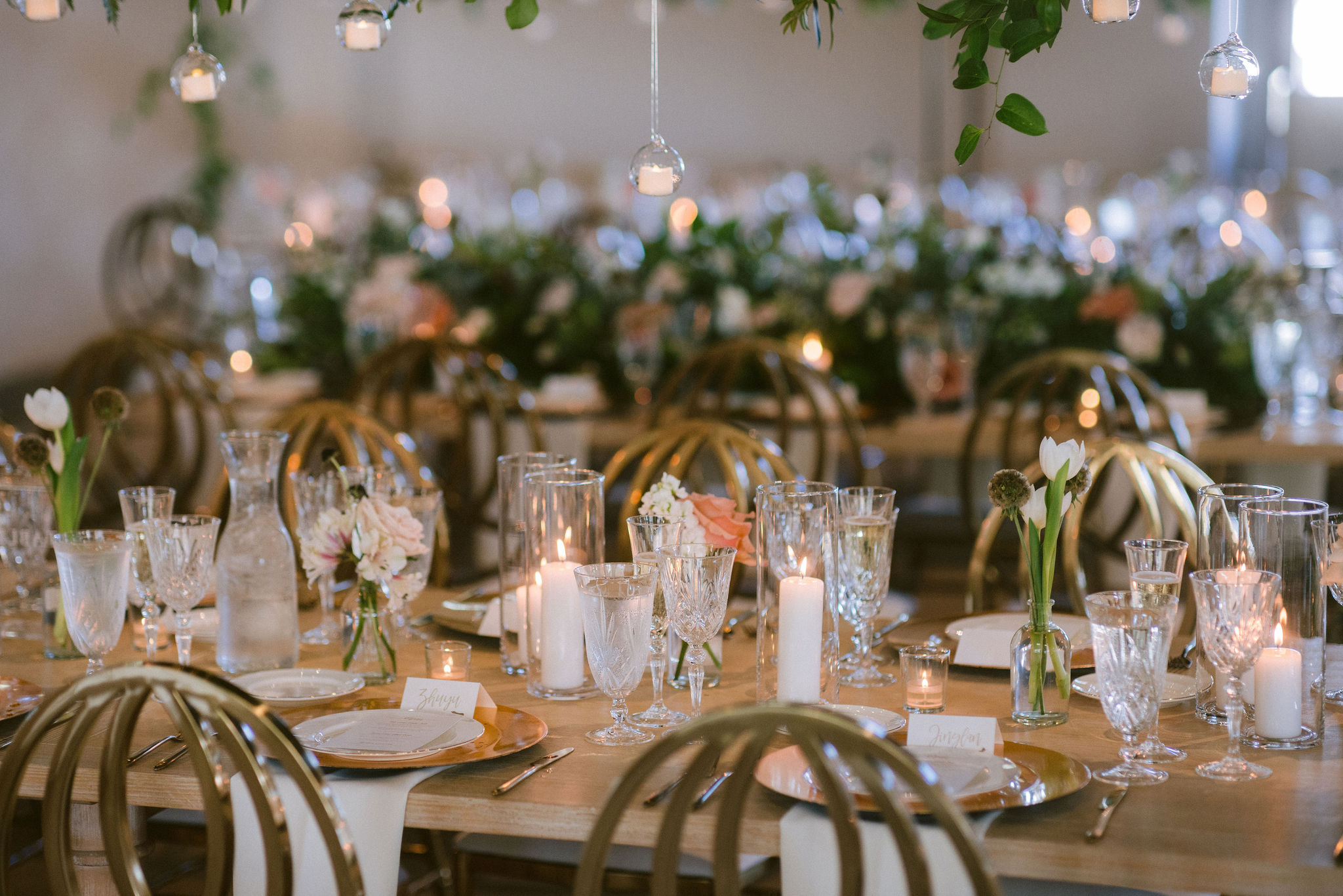 cameron_ingalls-hiltner-0746