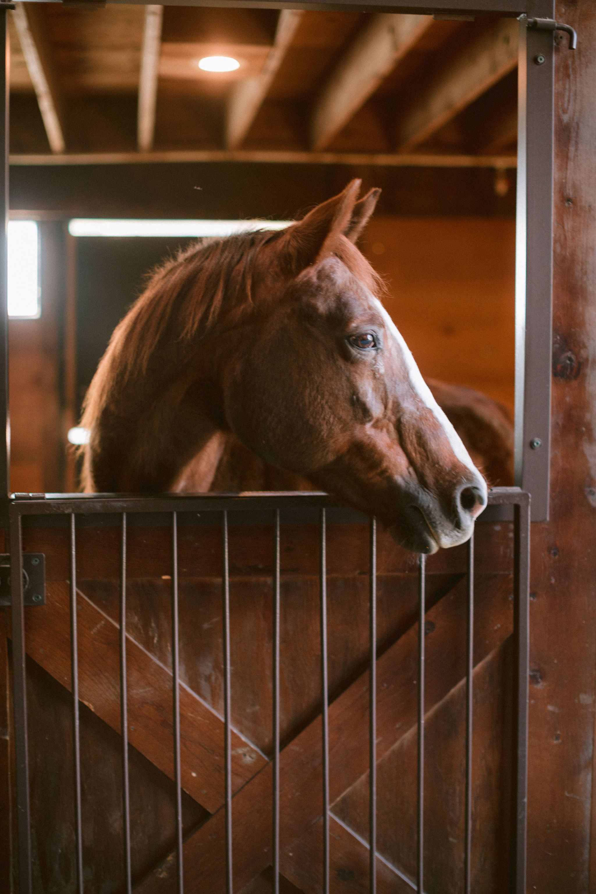 cameron_ingalls-hiltner-0770